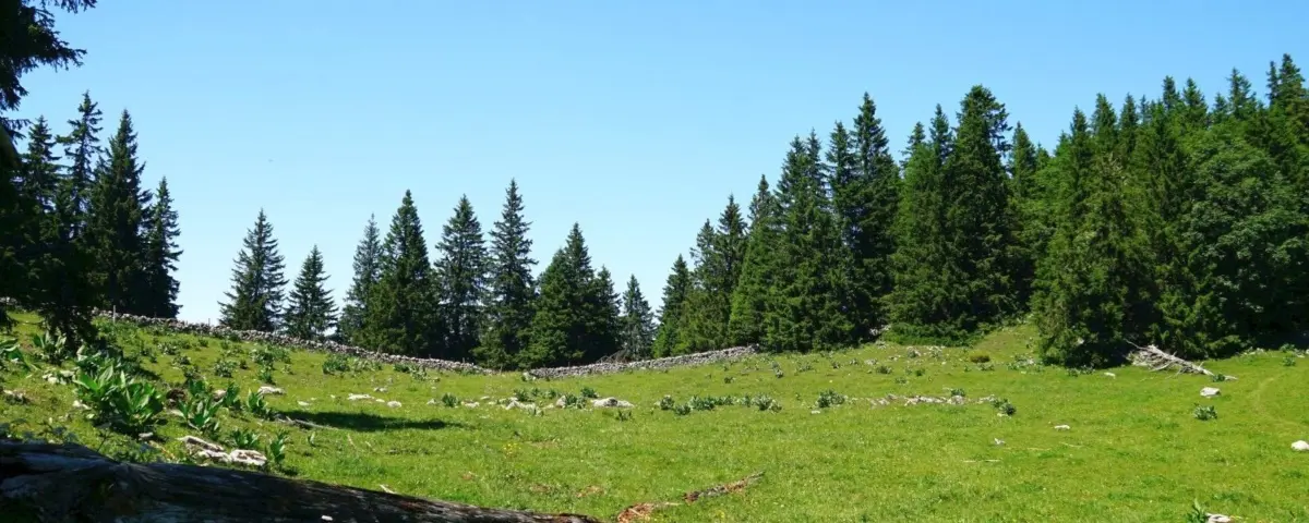 Paysage Franches-Montagnes, Jura suisse