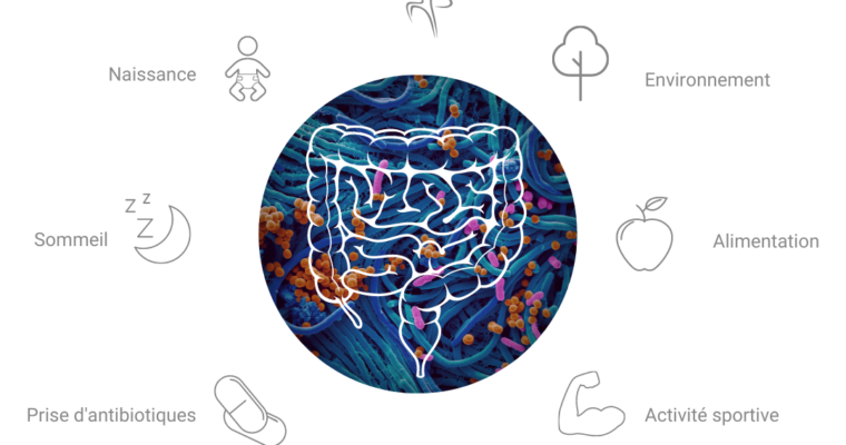 Lactofermentation, Fermentierra et l’analyse du microbiote Nahibu: Get your shit straight!