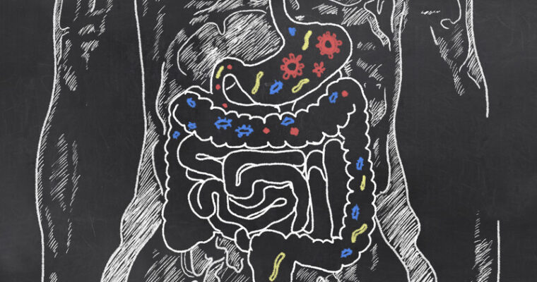 Les légumes lactofermentés soutiennent l’activité physique et la récupération.￼