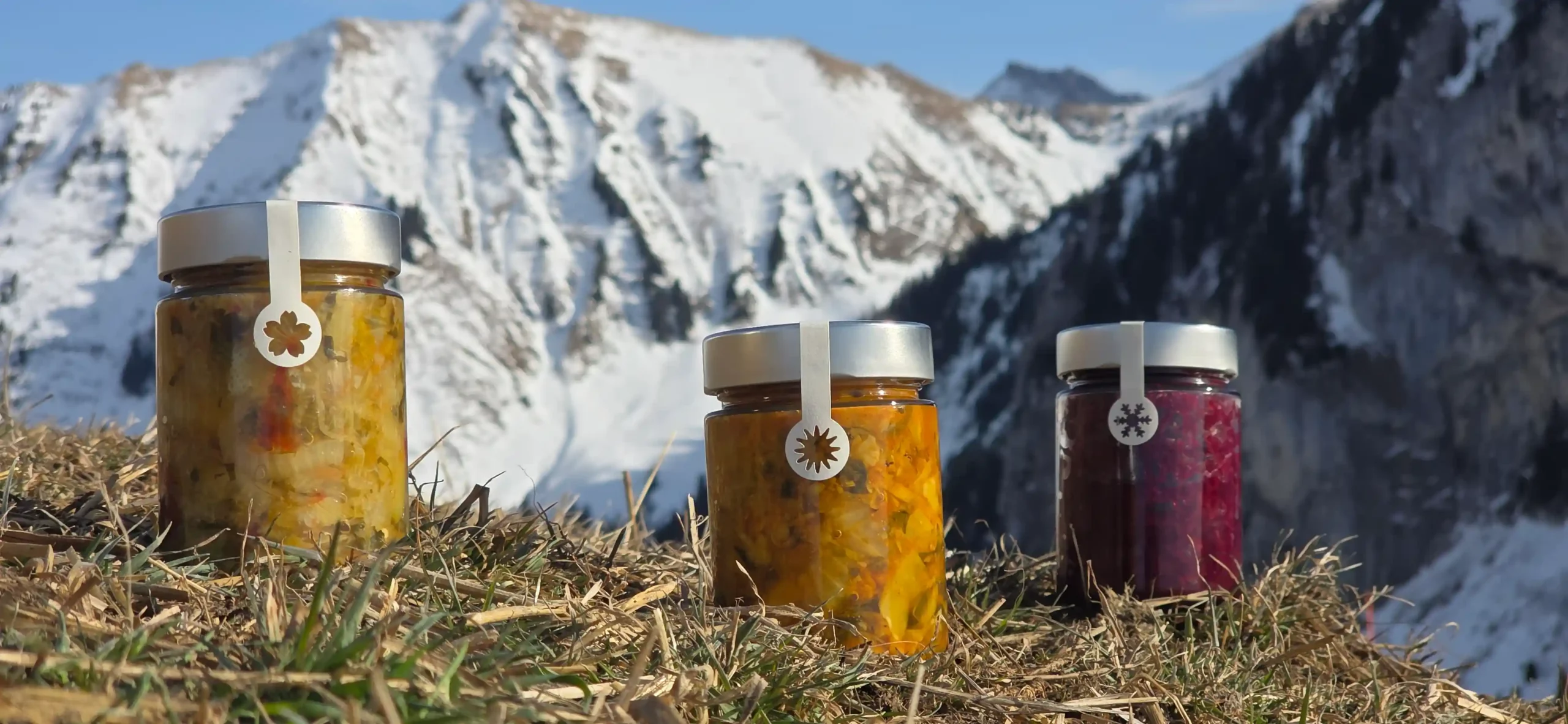 Bocaux légumes fermentés Fermentierra alignés Alpes Suisses