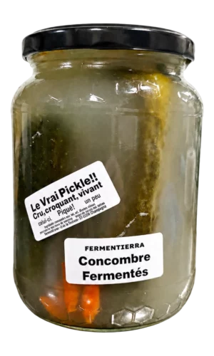 Bocal de concombre fermenté Hot Fermentierra avec piments, 450 g poids net égoutté