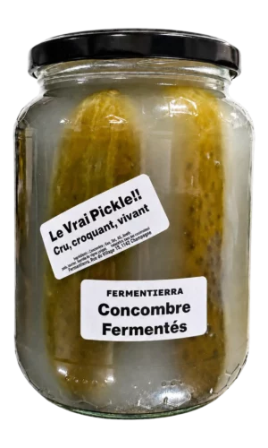 Bocal de concombre fermenté nature Fermentierra, 450 g poids net égoutté